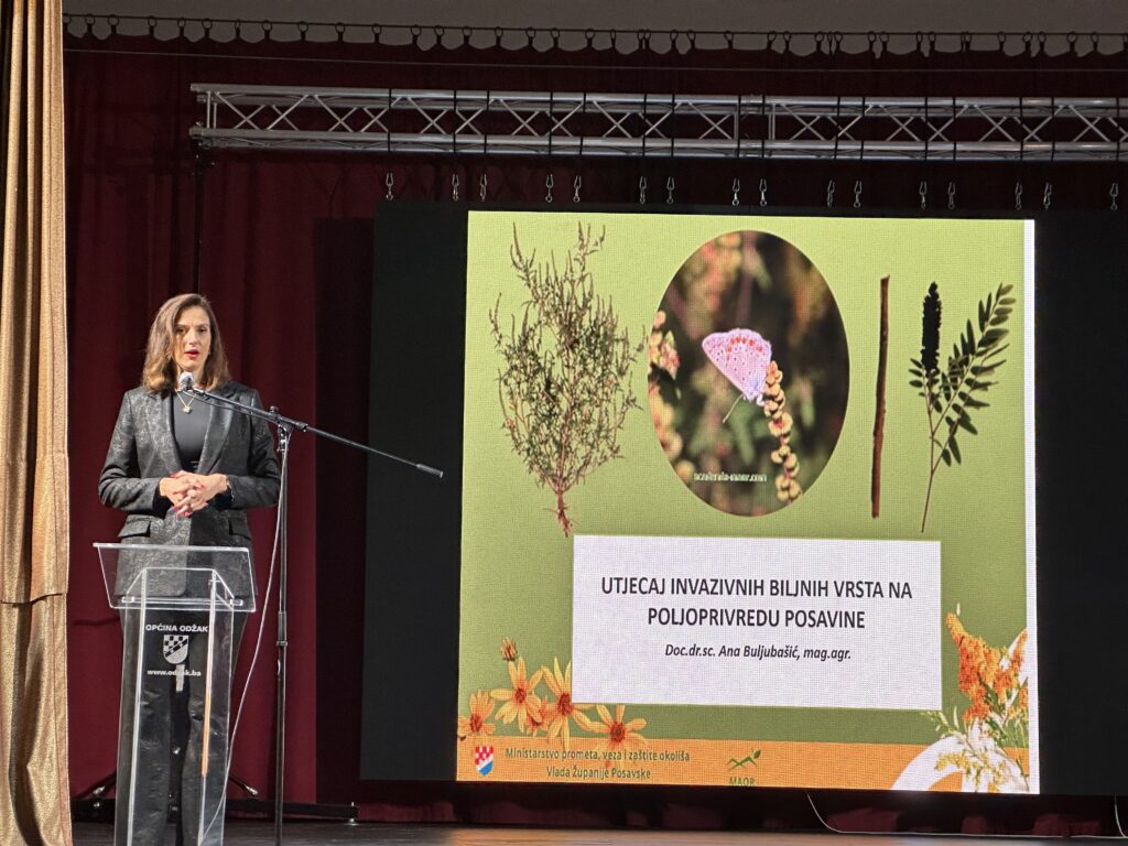 Predavanje Invazivne biljke Posavine
